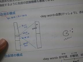 免疫力ダウン