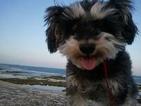 海散歩♪ 2011/02/28 12:27:15