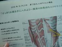 すっきりお腹になりたくて 2010/10/24 08:42:26
