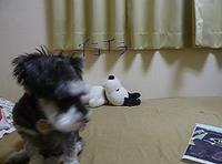 女性向けのクラリセージ 2010/12/22 10:05:49