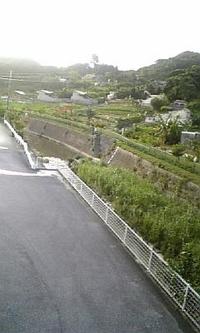久々に早起きしたので 2009/06/23 07:11:55