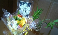 お花を頂きました。＾＾ 2009/09/02 22:58:21