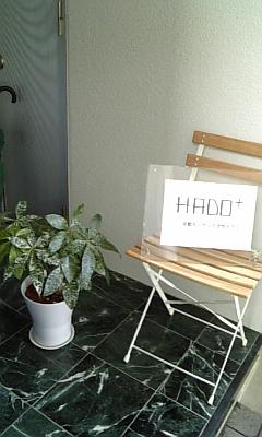 観葉植物を置いてみました。