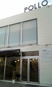 POLLOって 2009/08/16 20:37:44
