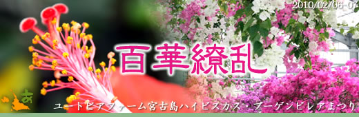花は集えよ