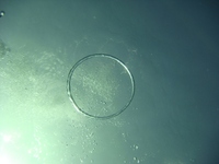 練習 2009/04/28 09:40:29