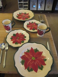 クリスマスの日は・・ 2013/12/26 13:58:33