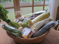お野菜が届きました！！ 2014/03/10 10:02:22