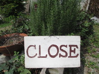 本日CLOSE 2015/11/09 11:18:42