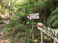 運動の！秋(*^_^*) 2017/11/06 14:30:09