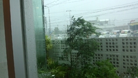 台風12号の影響で雨風強いですが診療しています