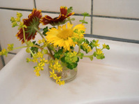 トイレのお花