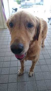 嗅ぎまくり♪