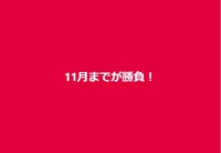 １１月までが勝負
