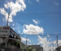 やっぱし　夏が好き～