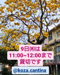 ９日午前中、貸切となります。 2023/03/07 17:13:13