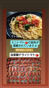 自家製ドライトマト 2024/09/10 17:21:25