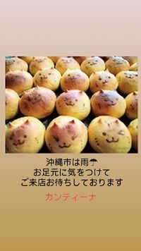 ねこパンあります 2024/09/09 10:57:35
