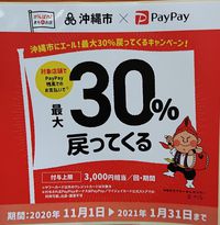 豚肉と大根のスパイスカレー＆pay pay３０％還元 2020/11/18 10:48:40
