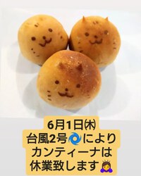本日休業致します 2023/06/01 07:52:52