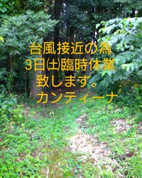 本日臨時休業 2022/09/03 09:55:35