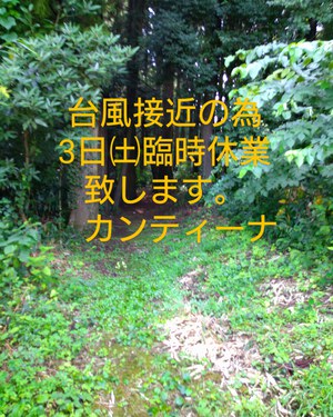本日臨時休業