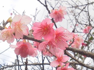 沖展の審査