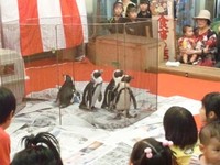 焼鳥大将 乱射事件で強制連行？ 2011/09/25 13:49:12