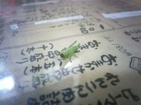 一年前の10月11日は・・・ 2011/10/11 12:26:58