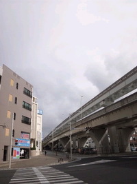 特定検診で…今さらですが 2011/10/31 10:48:58