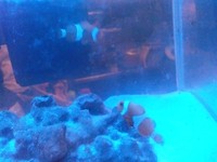 一年前の11月20日は・・・ 2011/11/22 14:31:08