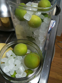 梅酢☆★ 2011/07/01 14:23:36