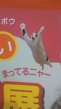 ネコがいっぱい、パレット久茂地のネコ展行ってきました♪ 2012/07/23 12:12:00