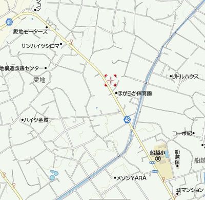 本日は