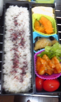 連休のお弁当？ 2012/05/05 15:05:43