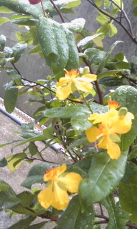 8月23日の記事 2012/08/23 10:01:35