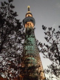 ライトアップ 2012/09/16 18:03:01