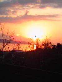 眠すぎて… 2012/09/19 07:23:59