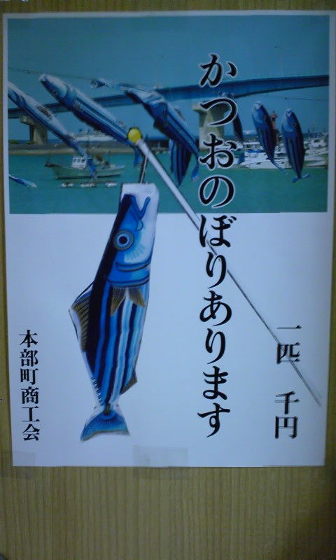 カツオ入荷しました。本部
