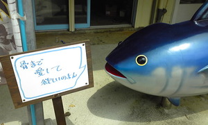 カツオのつぶやき