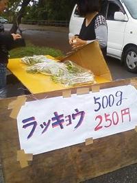 居酒屋の板さん、必見！！ 2011/05/02 11:54:35