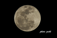 Full moon 2010/01/30 22:06:23