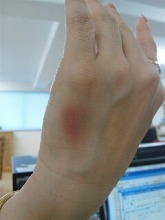。. ☆.。.: *2012年7月　定例会お知らせ*・゜☆゜・*:.。.