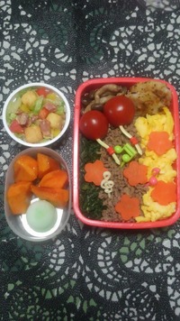 今日のお弁当～♪ 2012/11/08 21:56:41