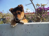 散歩♪ 2012/04/29 21:13:58