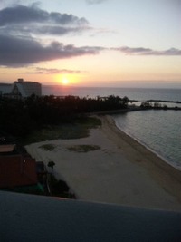 リザン♪ 2011/11/04 14:46:45