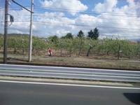 その後〜♪ 2012/05/10 16:16:58
