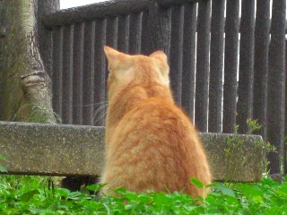 やっと、水曜日・・・（´▽｀；）
