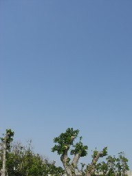 雨降り天気.:* ゜