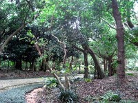 識名園 ＊*:・゜